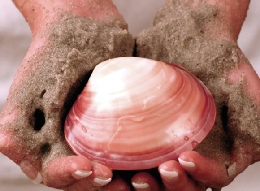 Lava Shell Relax Massage at The Beauty Room, Wychbold